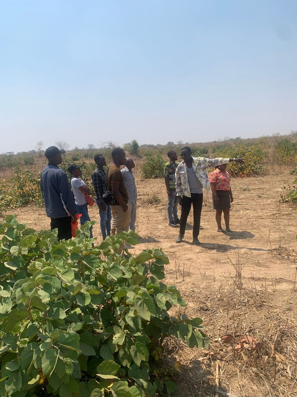 MULUNGUSHI UNIVERSITY PLOT - Image 2