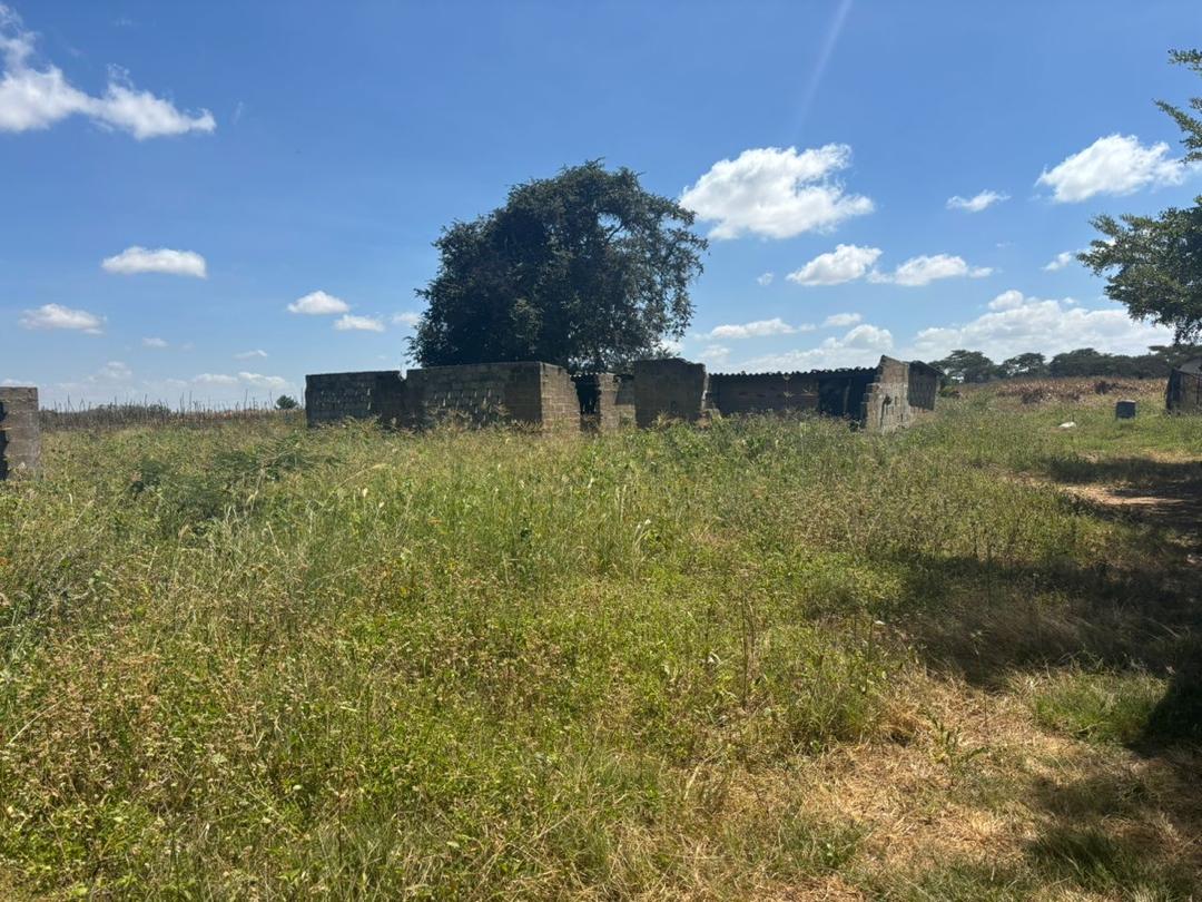 PRIME LAND FOR SALE IN MAKENI - Image 3